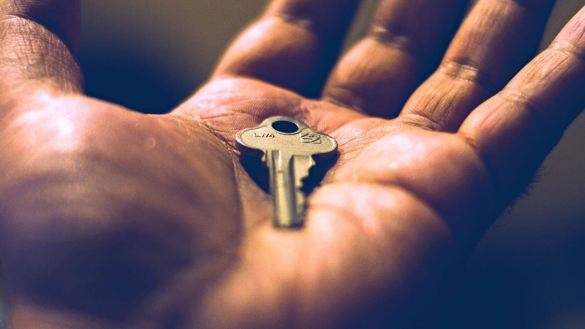 Featured image for “Three Ways to Control Access to Your Archive”